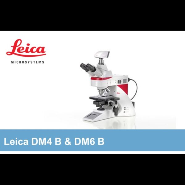 Image_Product_INS_UprightMicroscopes_1000x665_JPG_03.jpg Image_Product_INS_UprightMicroscopes_1000x665_JPG_03.jpg